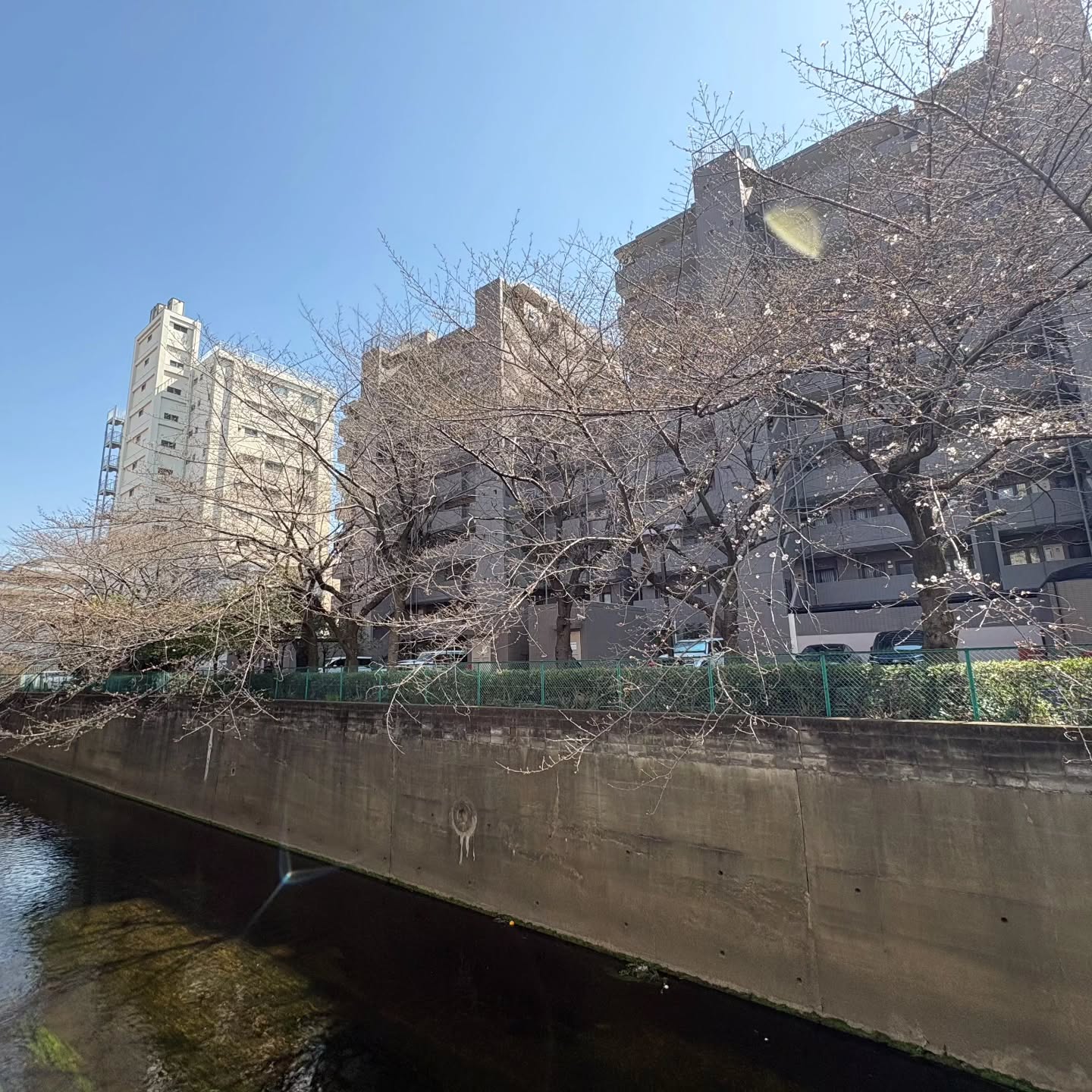 今夜も元気に営業致しますよー！