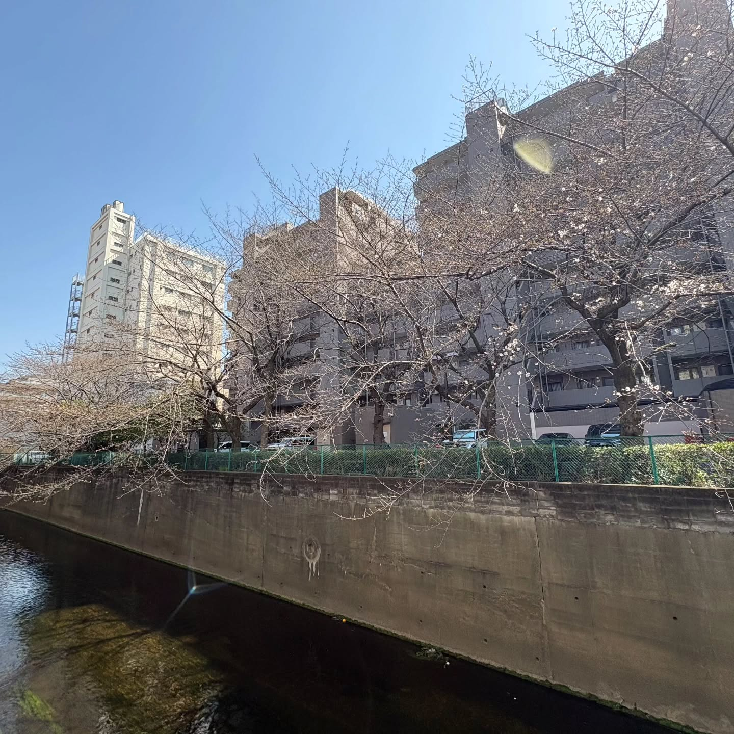 今夜も元気に営業致しますよー！