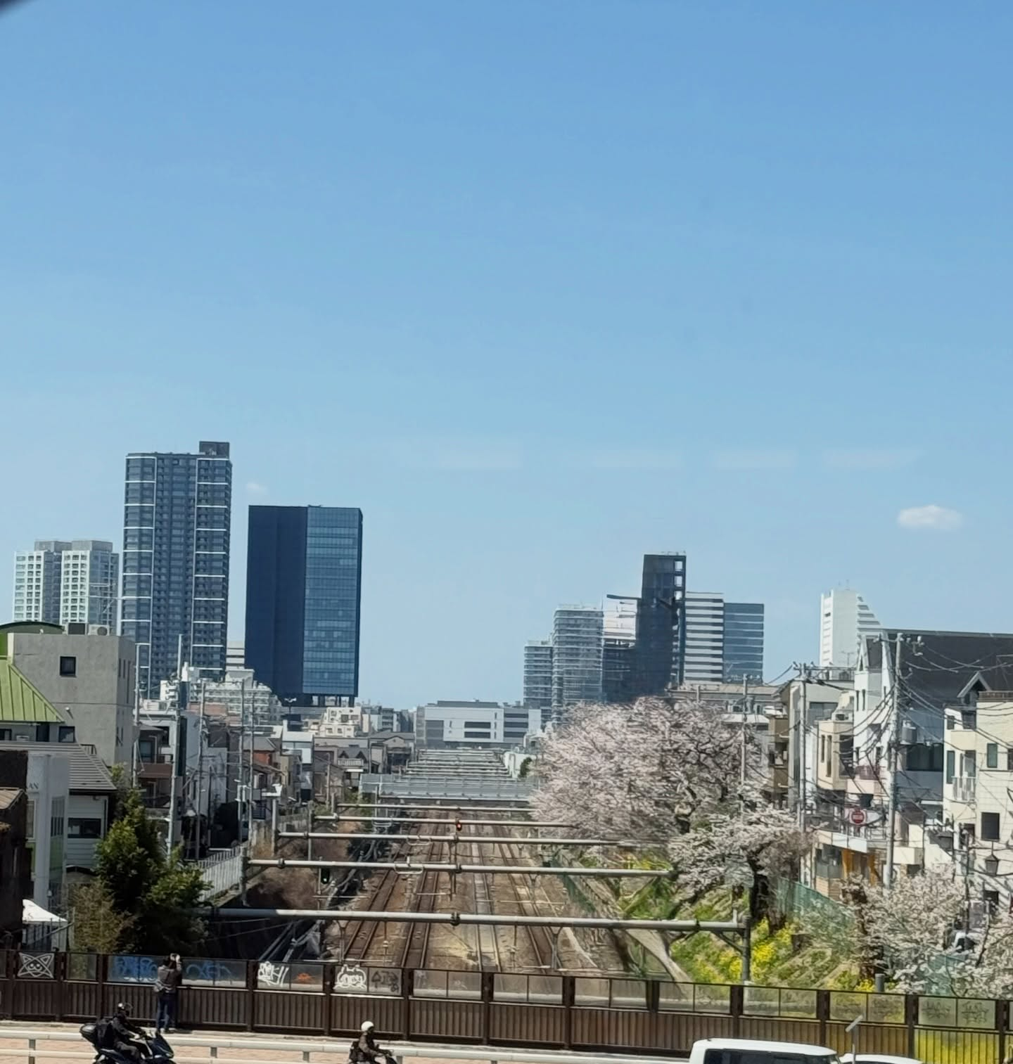 本日はお天気も良くて、絶好のお花見日和でしたね